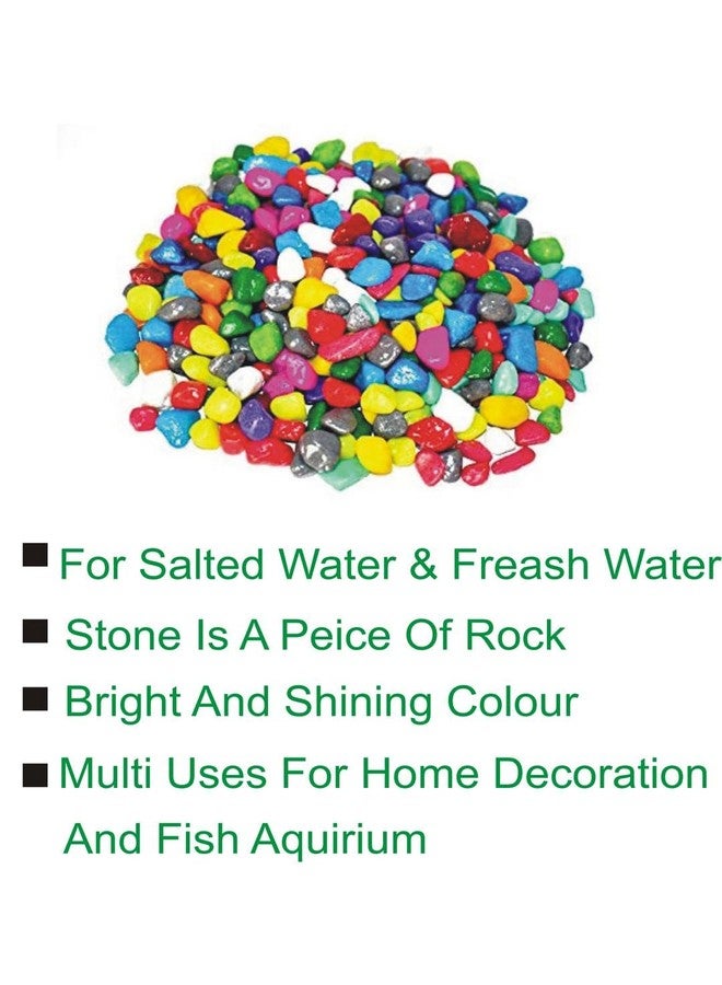 Somil Multicolor Pebbles/Stones for Garden, Plants, Lawns, Aquariums, Fish Pots, Home Decor, Vases, Furniture Filler. Size: 10-30mm, Shiny Multicolor -A259 - Image 5